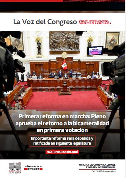 Primera Reforma En Marcha Pleno Aprueba El Retorno A La Bicameralidad