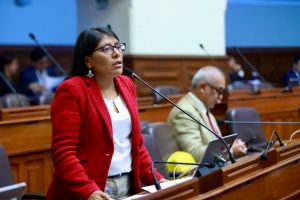 Congresista Margot Palacios interviene en la sesión del Pleno. (Congreso de la República/JReátegui)