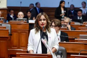 Presidenta de la Comisión de la Mujer y Familia, Jessica Córdova, interviene en la sesión del Pleno. (Congreso de la República/EArias)