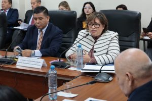 La ministra de Inclusión Social y Personas con Discapacidad, Fanny Montellanos, participa en la sesión de la Comisión de Inclusión Social y Personas con Discapacidad, que se realiza en la sala Fabiola Salazar. (Congreso de la República/CCox)