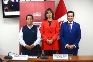 La Comisión Especial de Seguimiento a la Organización de los Juegos Panamericanos y Parapanamericanos Lima 2027, presidida por la congresista Diana Gonzáles, recibe al presidente del IPD, Federico Tong, quien expone el Plan Lima 2027 de incentivo para los deportistas, de cara a los próximos Juegos Panamericanos y Parapanamericanos. (Congreso de la República/JPAyala)