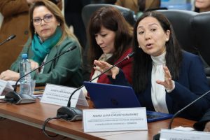 La directora de la Dirección de Políticas, Seguimiento y Generación de Evidencias del Conadis, María Luisa Chávez, participa en la sesión de la Comisión de Inclusión Social y Personas con Discapacidad, que se realiza en la sala Fabiola Salazar. (Congreso de la República/CCox) 