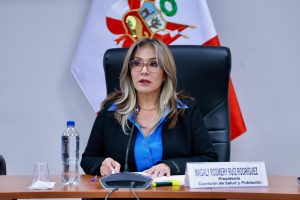Congresista Magaly Ruíz preside la sesión de la Comisión de Salud y Población en la sala Martha Hildebrandt. (Congreso de la República/JReátegui)