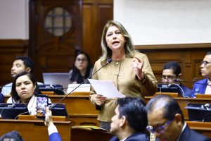 Diputada Roxana Rocha